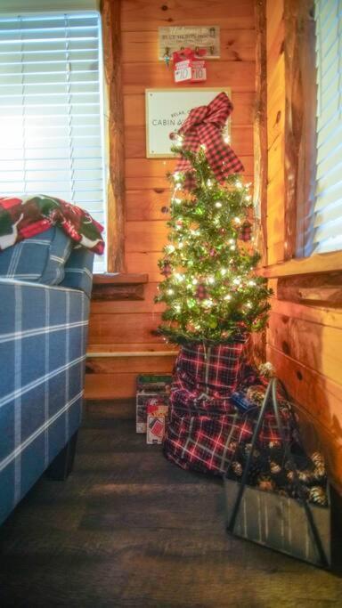 Charming Lakeview Cabin Near Geneva-On-The-Lake! Ashtabula Esterno foto